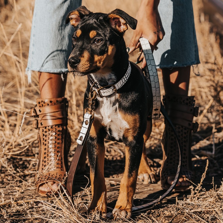 FREEBIRD STORES Dog Leash Small Leather Goods