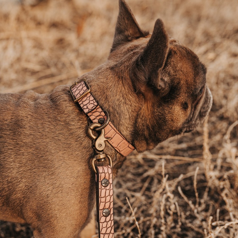 FREEBIRD STORES Dog Collar Small Leather Goods