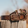 FREEBIRD STORES Dog Collar Small Leather Goods