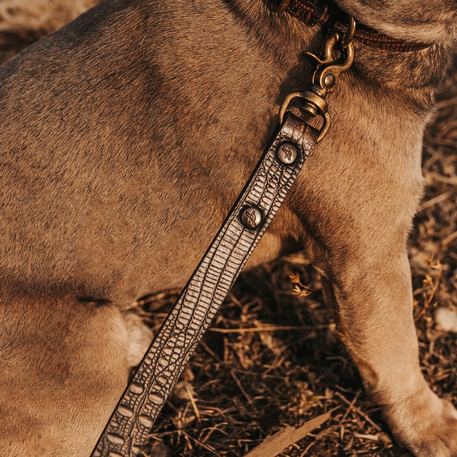 FREEBIRD STORES Dog Leash Small Leather Goods